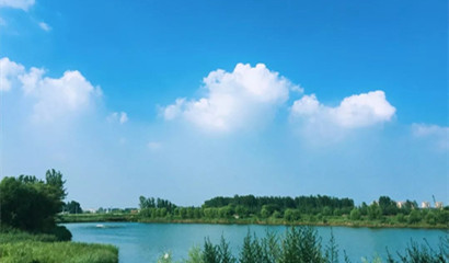山東武城：全流程服務(wù)護(hù)航糧食豐收